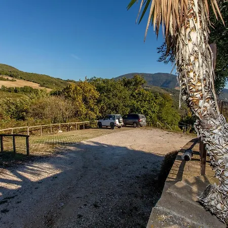 Hilltop With Swimming Pool 公寓 阿西西