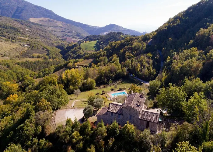 Hilltop With Swimming Pool